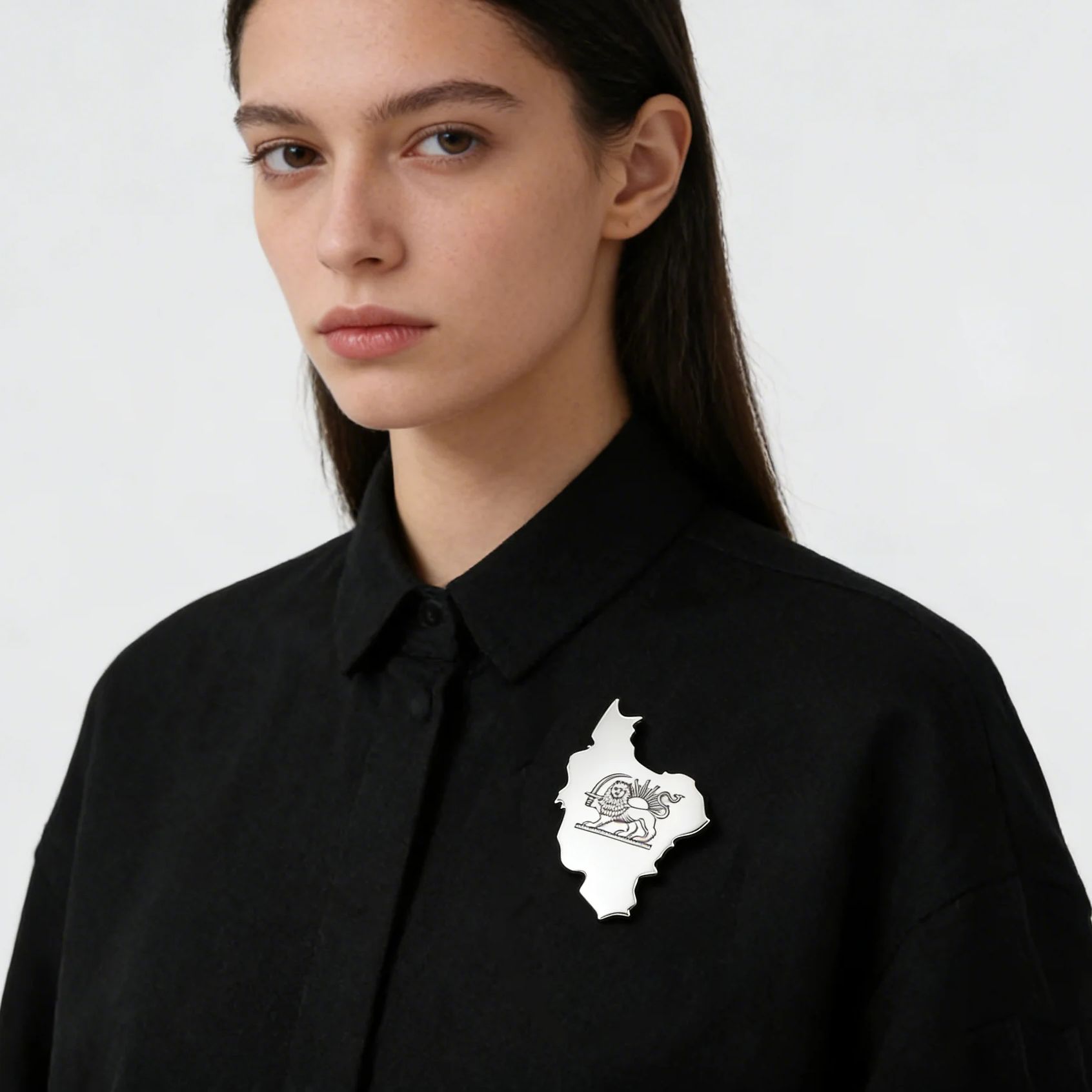 Lucktune Iran Pin Brooch Stain - огляд і ціна Tuxedo Lapel Pin